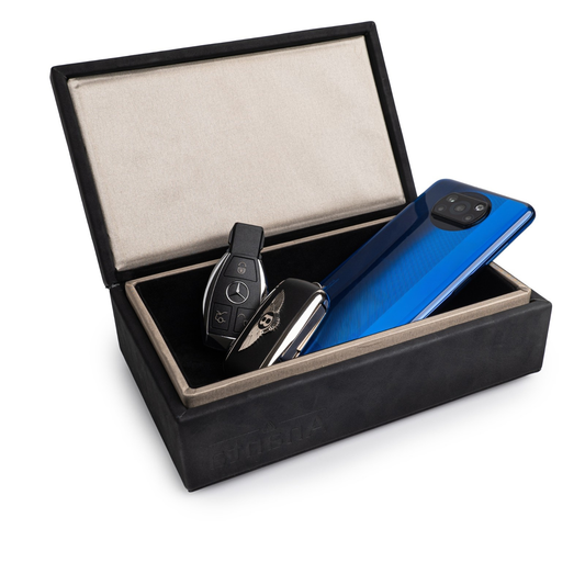 Z2 - Faraday Box